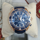 Omega Seamaster Planet Ocean