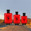 Ralph Lauren Polo Red