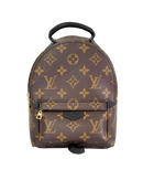 Mochila Louis Vuitton Palm Springs Monogram Mini