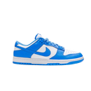Tênis SB Dunk Low